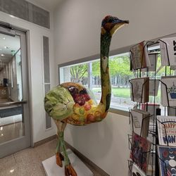Vision Gallery - Painted Ostrich