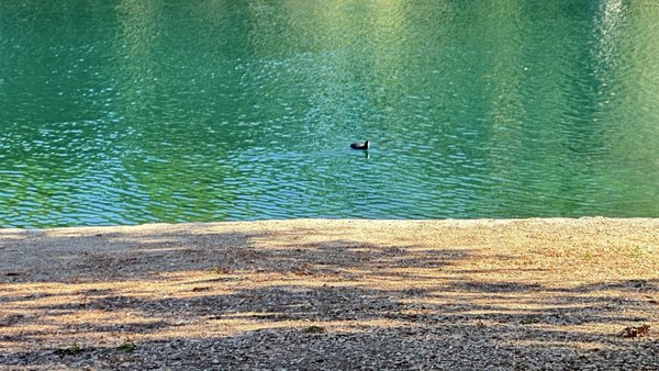 Laguna Lake Park by null