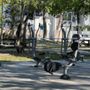 Photo of Cherry Grove Park