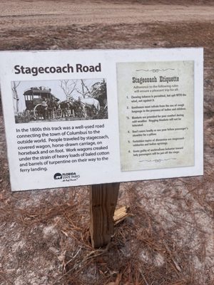 Suwannee River State Park by null