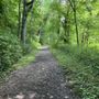 Photo of Waterfalls Trailhead