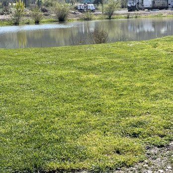Premier RV Resorts - Pond - Campgrounds Near Me - Eugene, Oregon