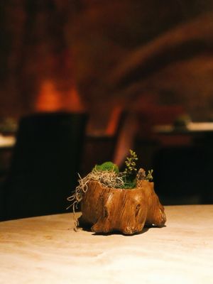 Ritual at Manresa by null