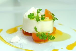 Fresh Origins by null