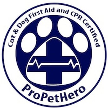 Active Dogzz - CPR certified - Pet Training Near Me - Ventura, California Active Dogzz - CPR certified - Pet Training Near Me - Ventura, California