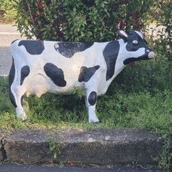 Home Plate Dairy