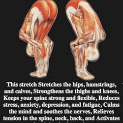 Hot Yoga Montpelier - Let's stretch our body