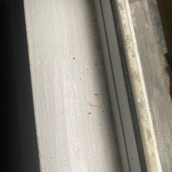 Serenisea - Dirt everywhere.