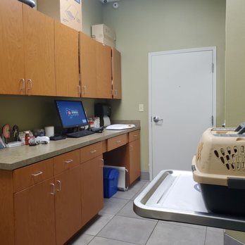 PEBBLE CREEK ANIMAL HOSPITAL - Updated May 2025 - 36 Photos & 69