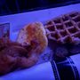 Photo of Haunted Brunch