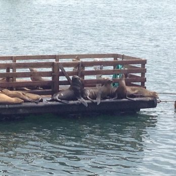 Mersea's - The soundtrack--- these guys barking away at u while u chomp down on ur lunch - Bars Near Me - Avila Beach, California Mersea's - The soundtrack--- these guys barking away at u while u chomp down on ur lunch - Bars Near Me - Avila Beach, California