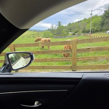 The Homeplace - American Near Me - Catawba, Virginia