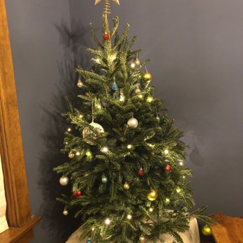 Ivy's Christmas Trees - Christmas Trees Near Me - Chicago, Illinois