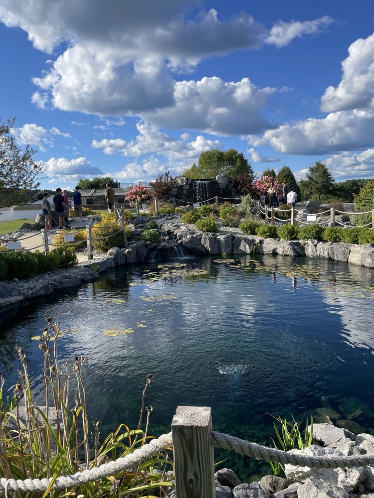 Social spots from Roy's All Steak Hamburgers & Golf Center