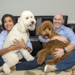 Harper Therapy - Harper Therapy co-founders Shamon and Yolanda Harper and therapy dogs Toby and Hobbes.