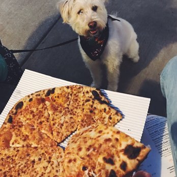 MadTree Brewing - Pizza, beer, and dog friendly! What more could you ask for? - Breweries Near Me - Cincinnati, Ohio MadTree Brewing - Pizza, beer, and dog friendly! What more could you ask for? - Breweries Near Me - Cincinnati, Ohio