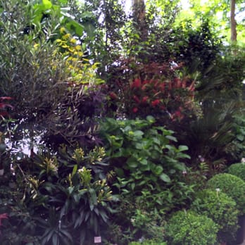 CasaNova - Nurseries & Gardening Near Me - Paris, 75