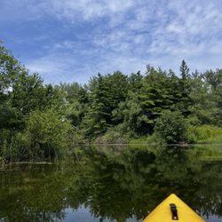 Toronto Island SUP