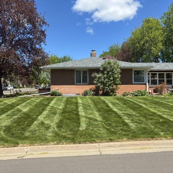 Ledo Brothers - Lawn Services Near Me - Roseville, Minnesota