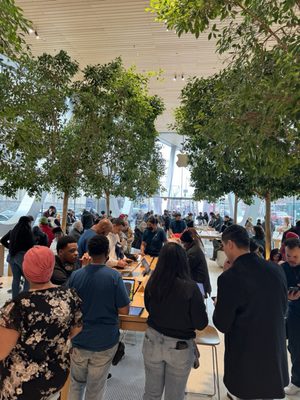 Apple Downtown Brooklyn by null