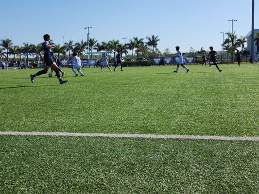 Paradise Coast Sports Complex by null