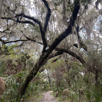 Spanish Pond - Hiking Near Me - Jacksonville, Florida Spanish Pond - Hiking Near Me - Jacksonville, Florida