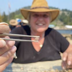 Gem Mountain Sapphire Mine