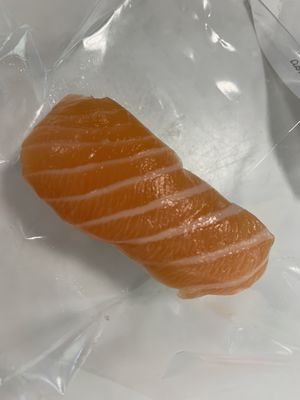 Tsukiji Fishroom by null