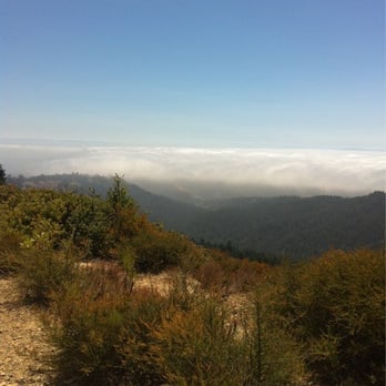 Mt. Tamalpais East Peak - Parks Near Me - Mill Valley, California Mt. Tamalpais East Peak - Parks Near Me - Mill Valley, California