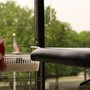 Photo of ISSA Physical Therapy & Wellness