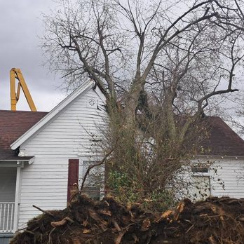 Dad's Tree Service - Tree Services Near Me