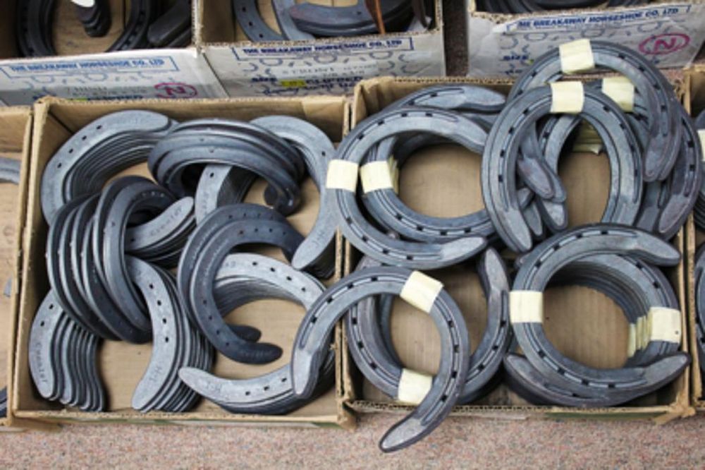 DIAMOND H TACK 22 Photos 1953 Kirschner Road, Kelowna, British