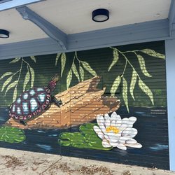 The Painted Turtle