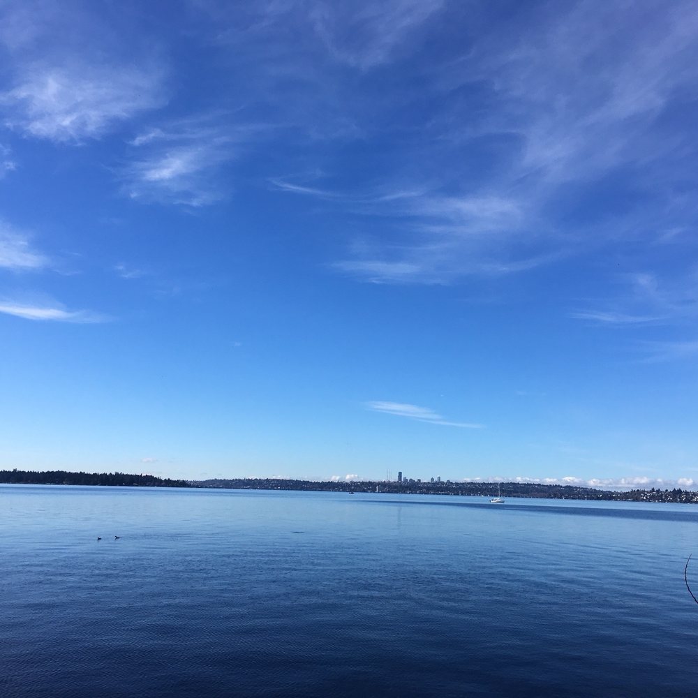 Marina Park - Parks Near Me - Kirkland, Washington Marina Park - Parks Near Me - Kirkland, Washington