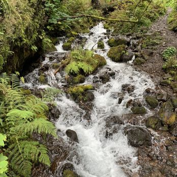 Multnomah Falls - Hiking Near Me - Bridal Veil, Oregon