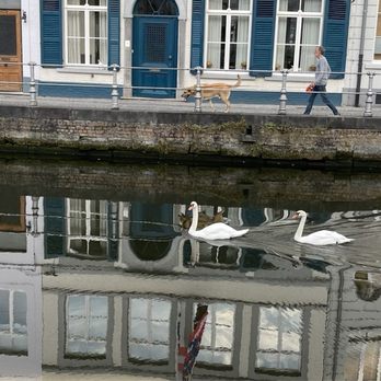 Hotel Van Cleef - My morning friends - Hotels Near Me - Bruges, VWV