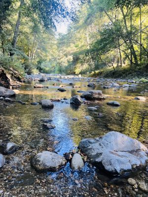 Big Sur River Inn by null