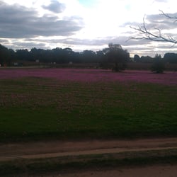Kies Winery