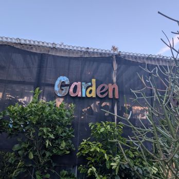 Mickey Hargitay Plants - The Garden. - Nurseries & Gardening Near Me - Los Angeles, California Mickey Hargitay Plants - The Garden. - Nurseries & Gardening Near Me - Los Angeles, California