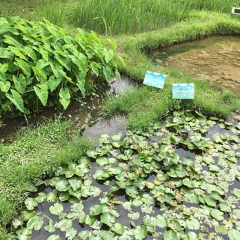 香港濕地公園 - Parks Near Me - Hong Kong, HK