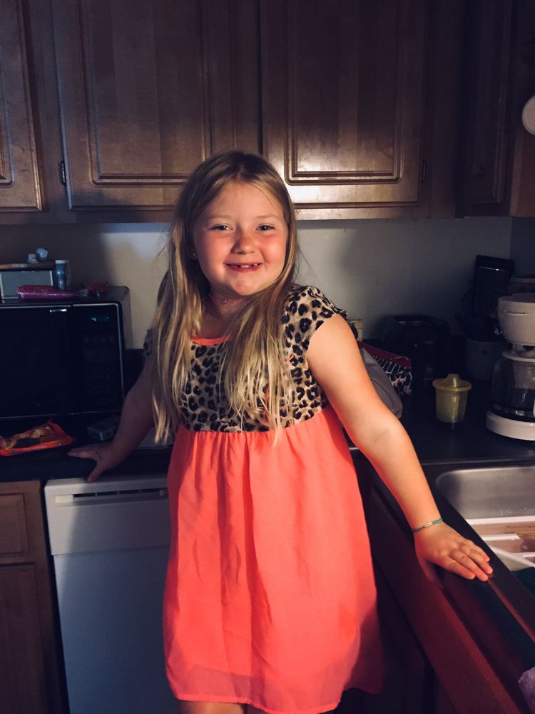 My Children's Trees - tree service in Charleston, WV