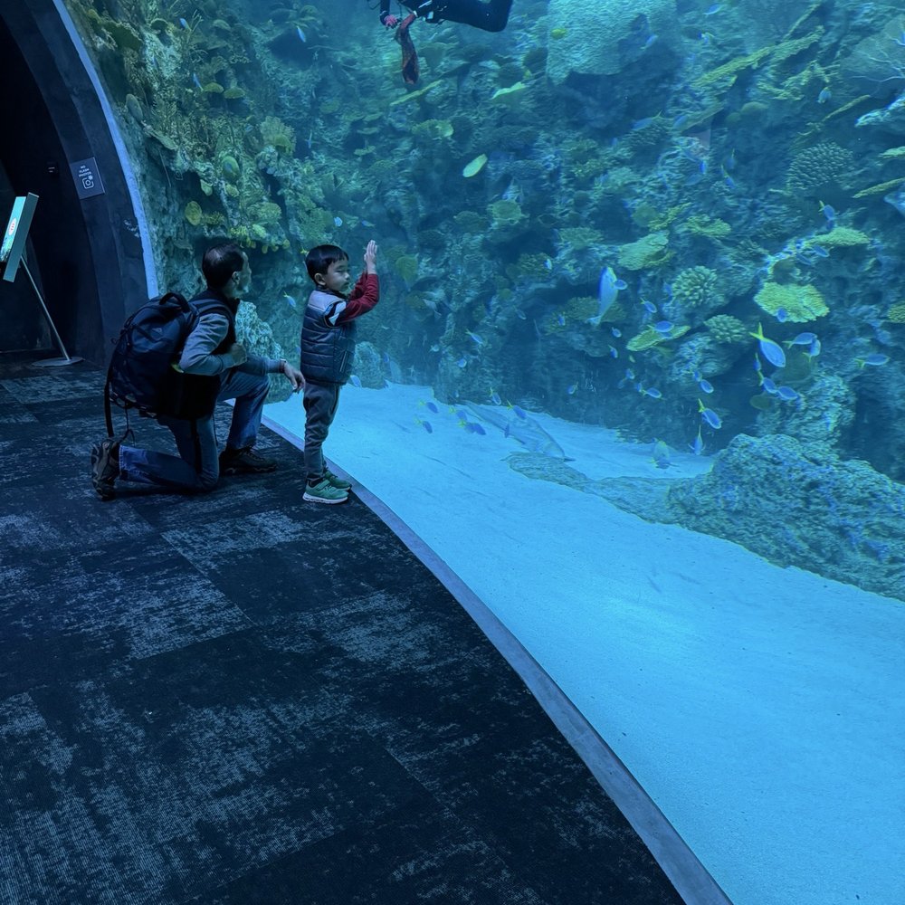Seattle Aquarium - Aquariums Near Me - Seattle, Washington Seattle Aquarium - Aquariums Near Me - Seattle, Washington