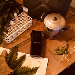 Red Herring Escape Rooms - It's a Rainforest Rescue! A world-renowned archaeologist is missing in the Amazon. Do you have what it takes to figure out her location and