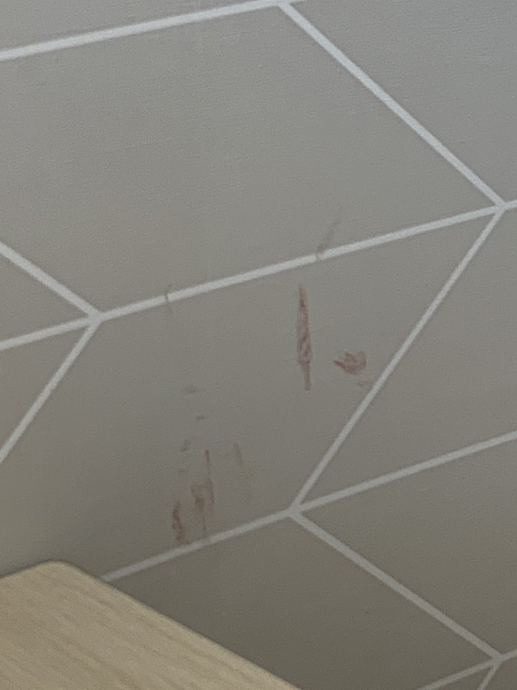 SUBWAY Updated September 2024 14 Photos 905 9 Highway S