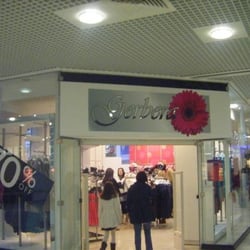 Gerbera