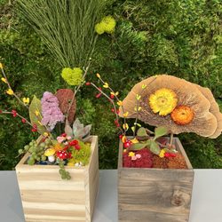 Luludi Living Art