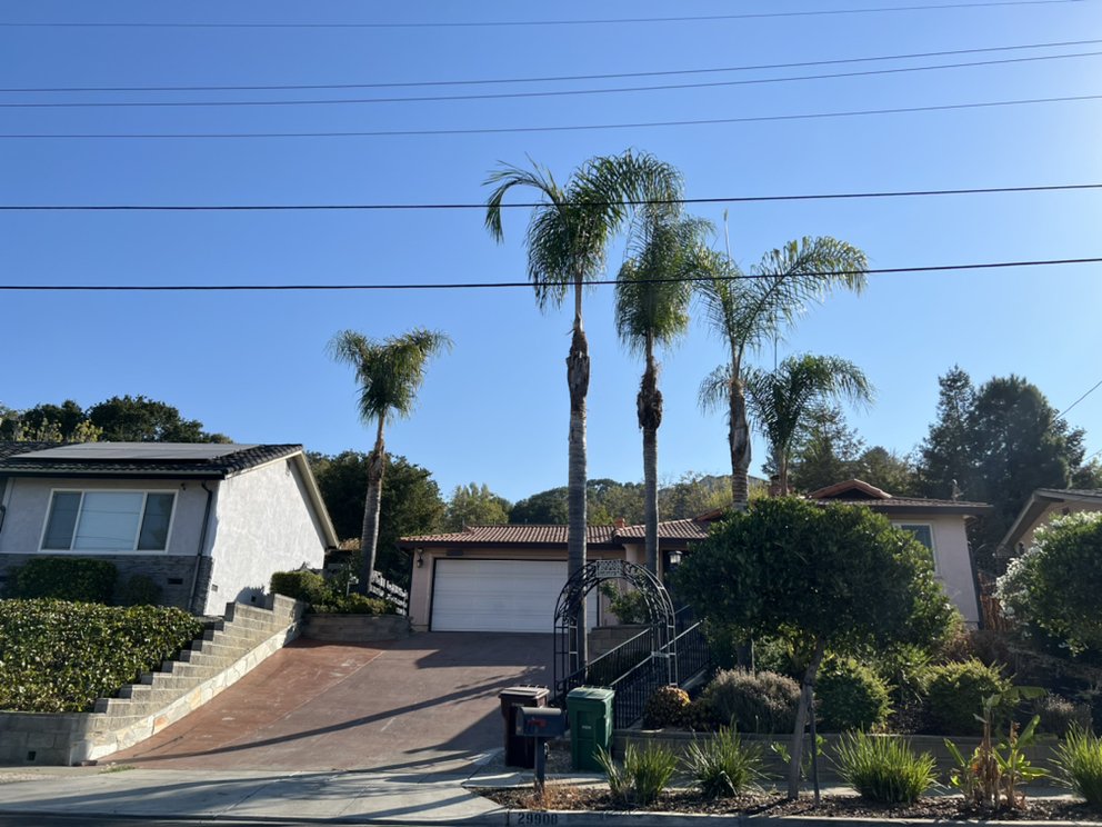 JMV TREE SERVICE 135 Photos & 131 Reviews Hayward, CA Yelp