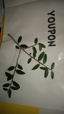 Emmanuel Christian Academy