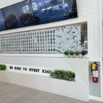 VeGreen Noodle - Noodles Near Me - Buford, Georgia