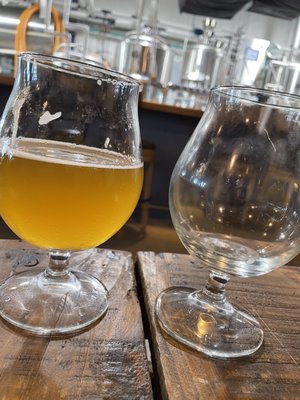 Skeeta Hawk Brewing by null